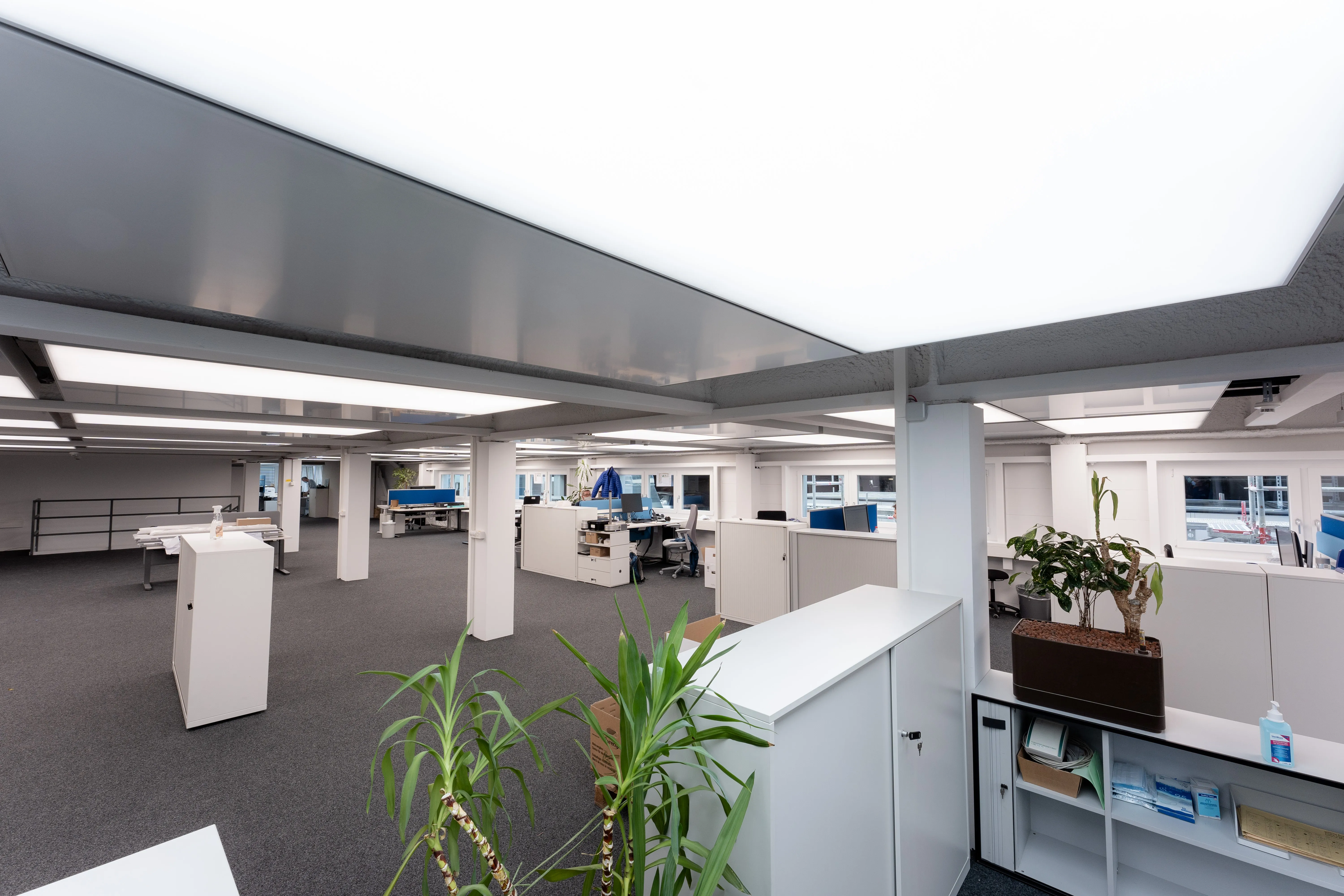 Großraumbüro mit interpanel Klimaleuchten über Arbeitsplätzen bei Bruker AG Fällanden